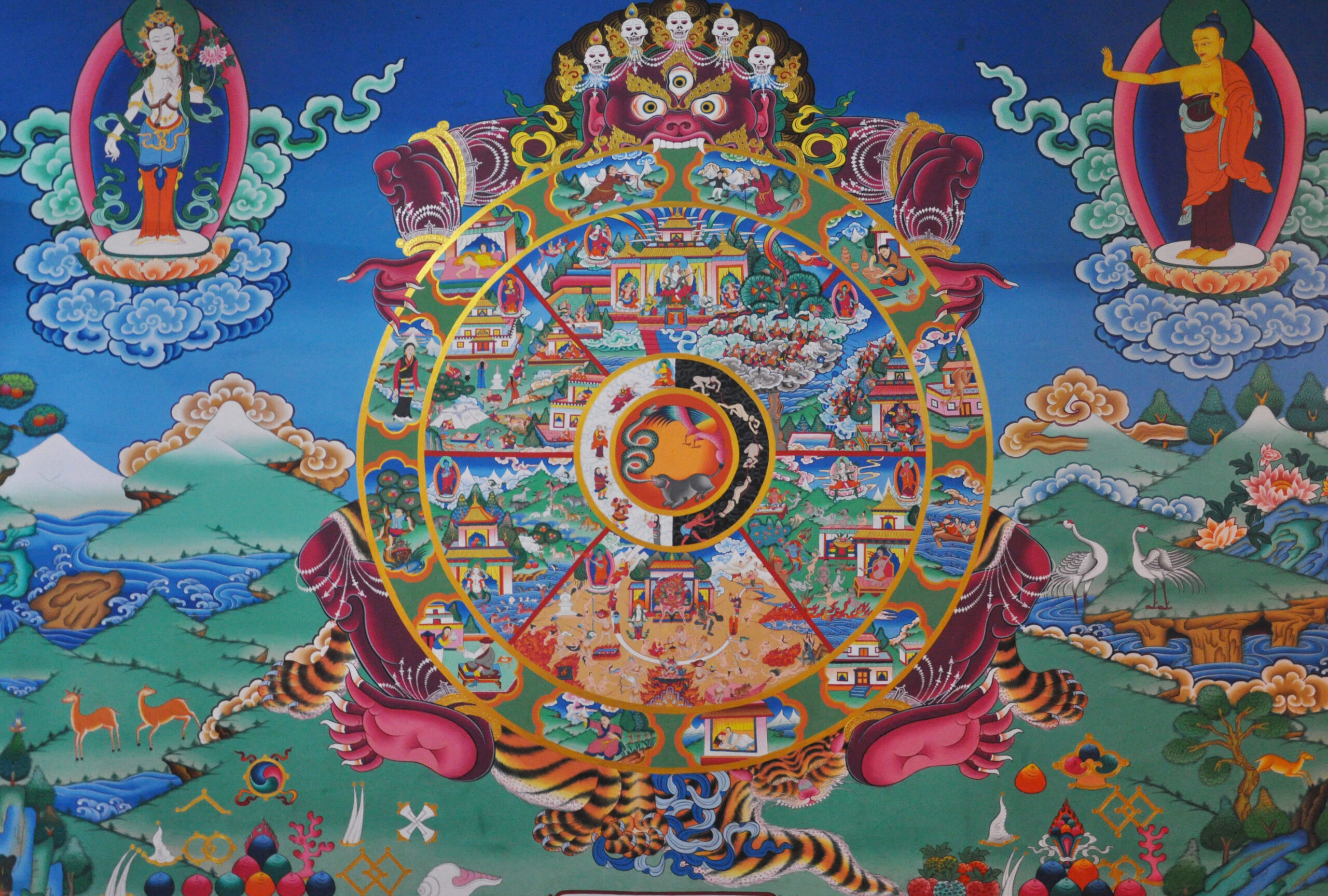 wheel of life depiction traditional tibetan buddhism painting
