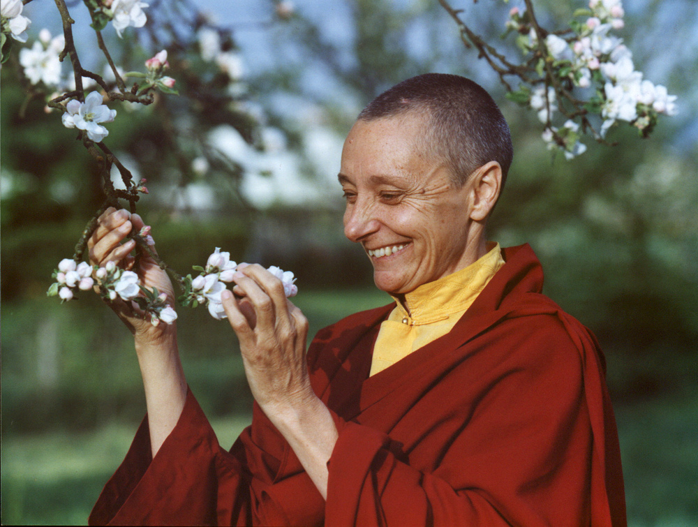 buddhism tibetan teacher Tenzin palmo