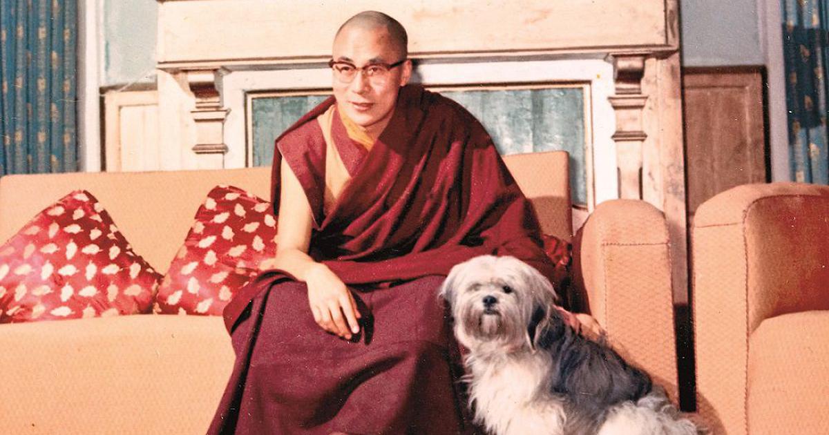 dalai lama tibetan buddhism cute dog spirituality buddhism